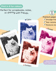 Four instant photo prints of a Samoyed dog in different color filters.