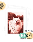 Print pack for Model P2 with 40 prints featuring a dog.