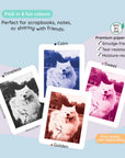 Four colorful prints of a Samoyed dog labeled Calm, Sweet, Timeless, and Golden.