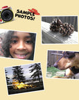 Jessie mini camera sample images taken directly by the digital camera.
