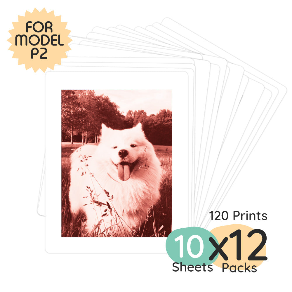 Print Pack 120 Prints | For Model P2