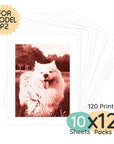 Print Pack 120 Prints | For Model P2