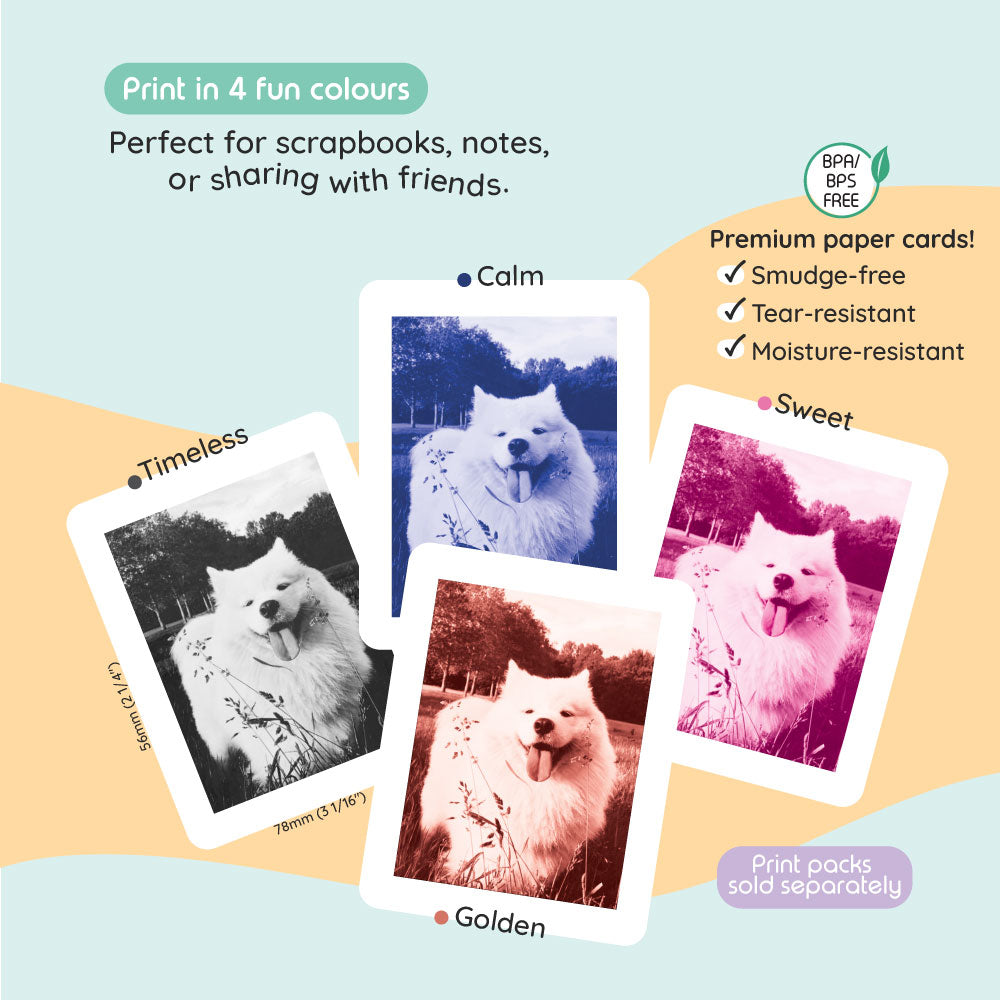 Four instant photo prints of a Samoyed dog in different color filters.