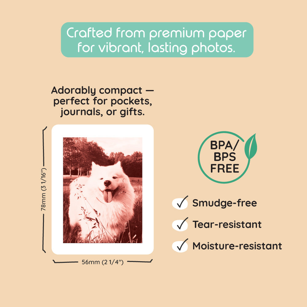 A 78x56mm photo print of a white dog. The photo card is smudge-free, tear-resistant, and moisture-resistant.