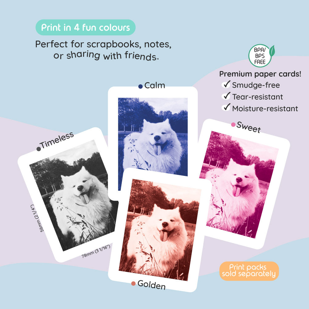 Four colorful prints of a Samoyed dog labeled Calm, Sweet, Timeless, and Golden.